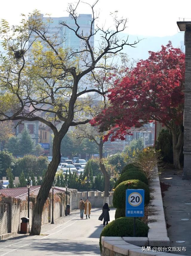 【乐游烟台】公交直达！烟台市中心神仙秘境，限时绝美