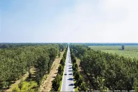 安阳内黄：“五星”争辉齐聚力 党建引领筑根基图片