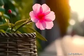 人老了兄弟姐妹的走动越来越少，原因太现实图片