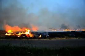 秸秆焚烧为何成环境公敌？你需要知道的真相！图片