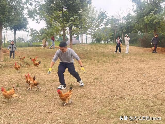 芜湖三组家庭，把“移动的家”开进秋天里！