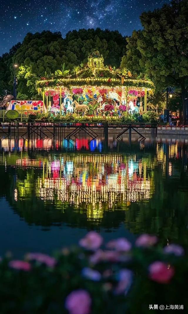 跟着“韩国欧尼”逛花海：花卉节引燃“花样经济”｜黄浦日记