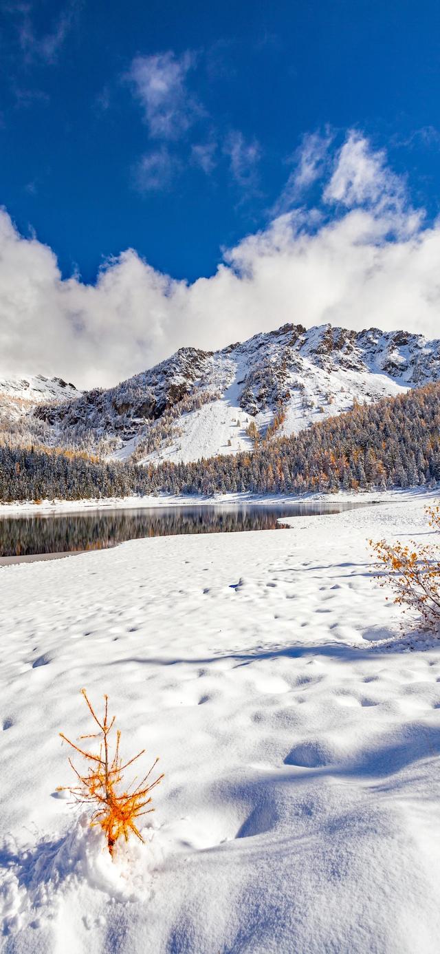 手机壁纸|冬日氛围感自然美景