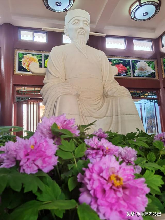 做几天洛阳人——游河南洛阳赏牡丹芬芳 总体概述(四)