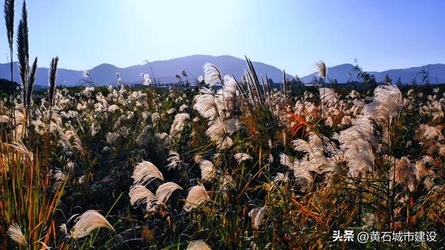 拍照绝美！就在黄石这里 快去打卡吧！