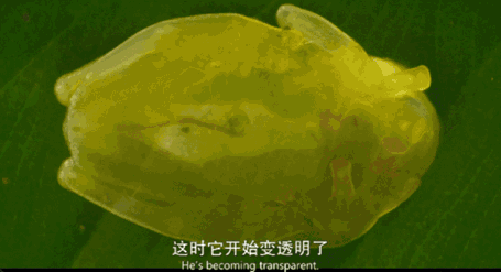 内娱男星讲荤段子，居然拿下豆瓣8.9