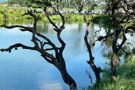 地铁公交直达！广州破万赞的“环湖公园”图片