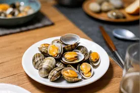 花蛤油蛤等贝类海鲜该如何净化？标准答案来了！图片