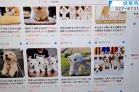 “成堆的动物尸体”！屡禁不止！快递点又现这种快递......图片