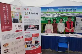 红杏林公益行动显担当，中医义诊暖人心图片