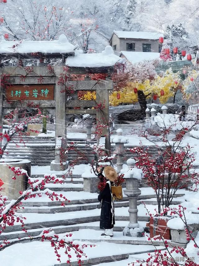 淄博跨年攻略来了!2025最后一夜,在淄博这样过!