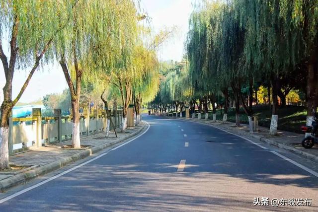 你好 东坡！| 明月路：邂逅一条湖光浸润的诗意长廊