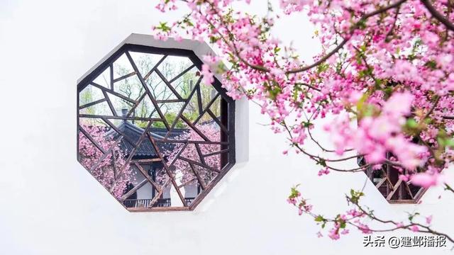 几十年如一日，来看南京顶级神颜