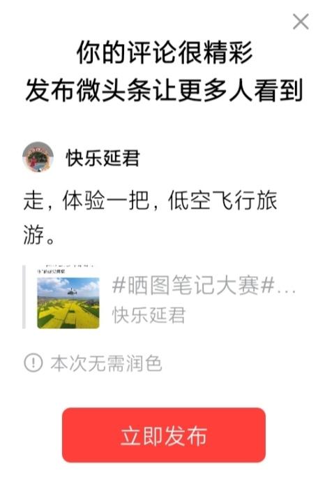 你会选择“飞”上天空看花海吗？