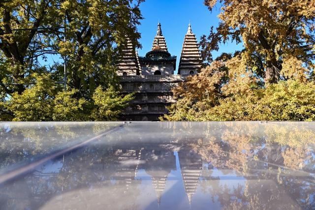 博物馆秋之旅 | 银杏映古塔，北京石刻艺术博物馆邀您秋日限定打卡