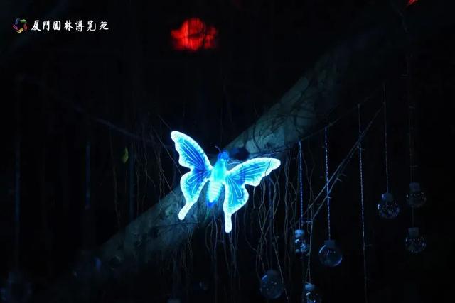 厦门园博苑花灯又上新!走进秋夜浪漫花月夜~