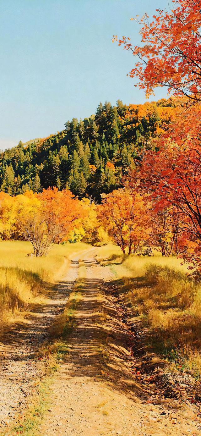 手机壁纸|秋天风光美景，自然美如画