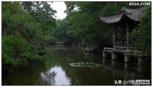 山东行游影记（11）—济南趵突泉（十一）