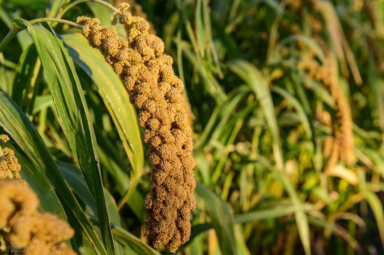 图片关键词 图片关键词