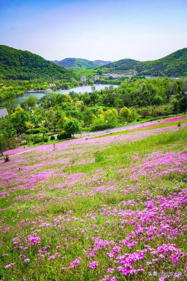 植此青绿，共赴春约～绿意盎然时，去大连公园里，续上满格能量！