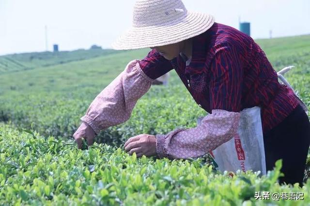 短剧破圈和文旅打卡，流量如何撬动地域经济新增长？