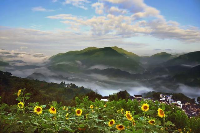 本周六，坡山露天电影院开放！云海+星空+电影，浪漫之夜免费观影丨皖美夏日