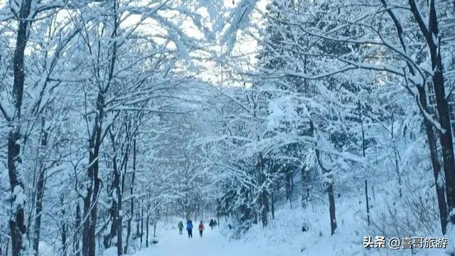 梦幻雪域，童话王国——探秘黑龙江雪乡国家森林公园
