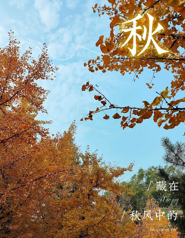辽宁的秋景：迟到半个月的惊艳