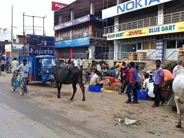 中国游客第一次去印度：虽做好心理准备，还是被“脏乱差”惊到？