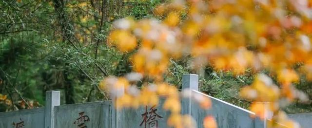 贵阳又一超级公园走红，比观山湖还大，是贵阳城区最大公园，免费