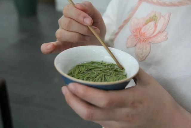 春假出逃计划 │ 从指尖绿意到星空露营，开启春日黔北茶韵之旅！