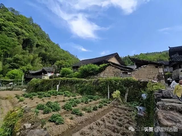 古道古宅藏尽浙南乡土烟火诗意，温州这个小众古村等你来打卡！