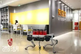 售价不到1万！“能买只机器狗，陪老妈买菜吗？”业内人士提醒图片