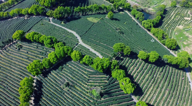 我说白了，萧山你是不是有点过分了！