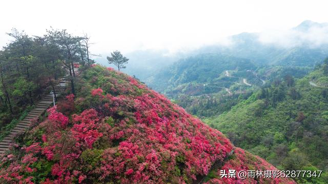 在黄陂，这样的美景你见过吗？