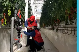 山西太原：优质服务进大棚 护航春耕保生产图片