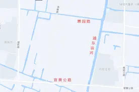 刚刚，重磅来袭，南汇地区三年用地计划发布（附清单）.......图片