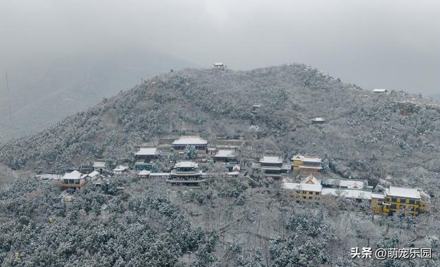 雪精灵造访济南城，趵突泉边遇奇迹，千佛山上现童话