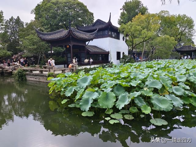 临近国庆，在还很闷热的天气里，游览市内现存最大的园林拙政园