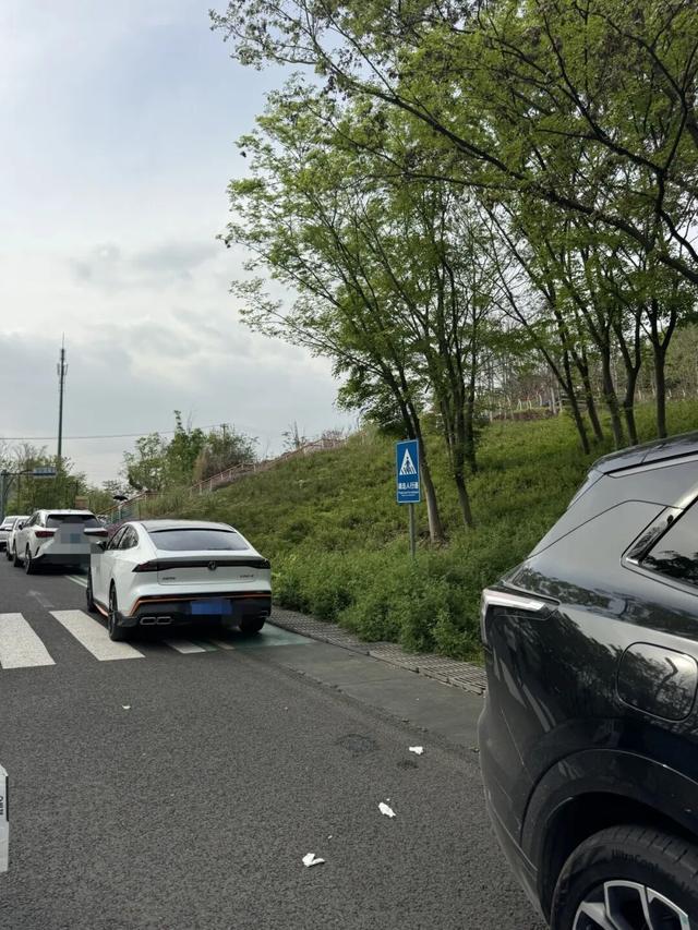 每隔几百米就有垃圾桶，成都网红登山道，纸巾餐盒却散落各处！