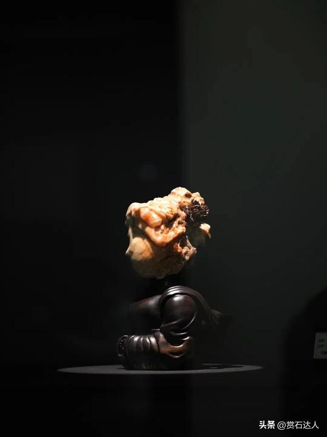 2026春季阿拉善玉·观赏石文化旅游活动盛大启幕，精品奇石欣赏