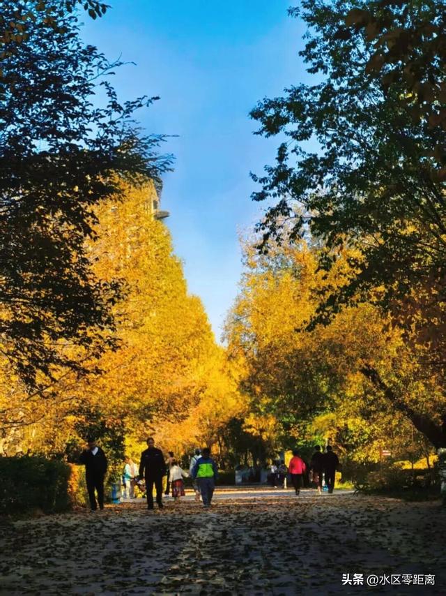 乌鲁木齐市水磨沟区——City walk新路线！水磨沟区这几个神仙地点，随手一拍都是大片