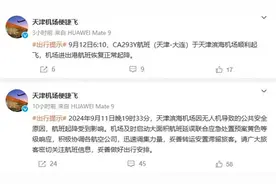 无人机致天津机场大面积航班延误，3000多名旅客受影响，多地曾有人因“黑飞”被拘图片