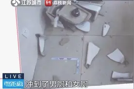 心情不佳？男子离异带娃又失业酒后砸了公厕图片