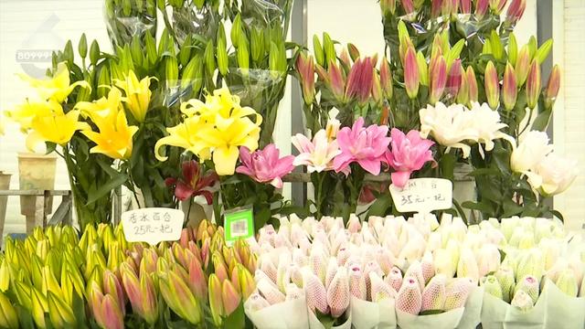 这才是重阳节该有的样子!爬西山、买花、吃重阳糕…昆明人的过节“三件套”齐了~