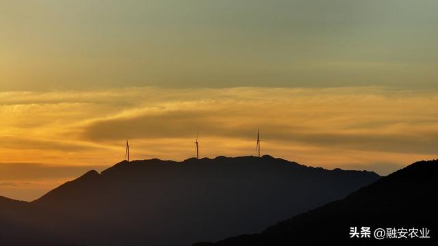 广西融安：秋日霞光映山川