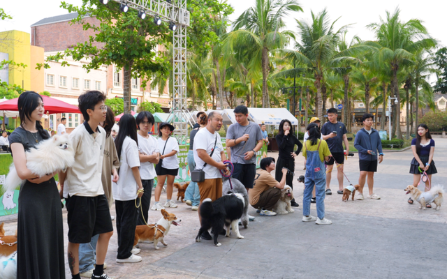 清明假期首日，海口亲子游火热登场！