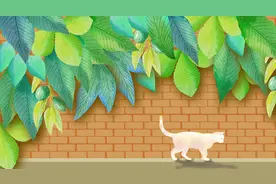 女人忘不了“旧情人”，多半是三个原因，扎心图片