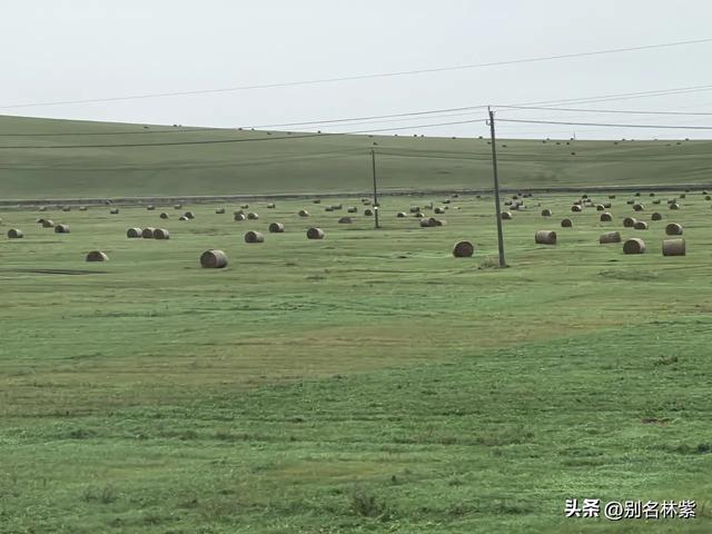 从满洲里前往额尔古纳市，分享公共交通乘车和住宿攻略（九）