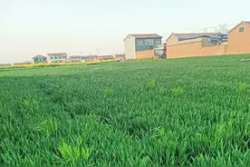 农村土地征收补偿最新规定图片